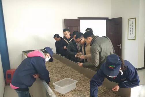 QQ截圖20160226161719